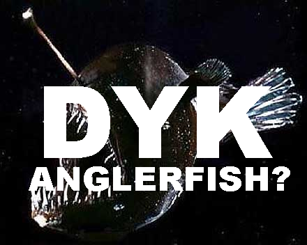 anglerfish.png