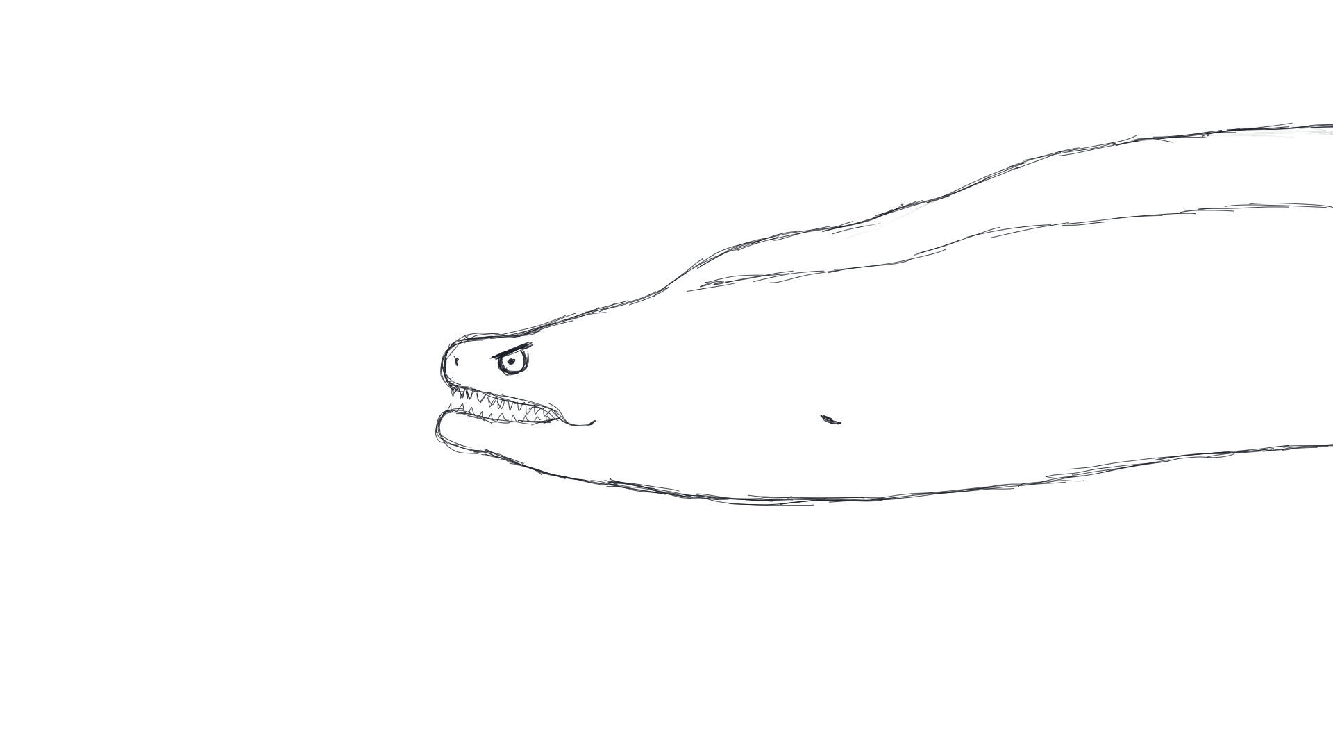 boss-moray-eel-sketch