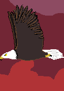 Eagle_animation