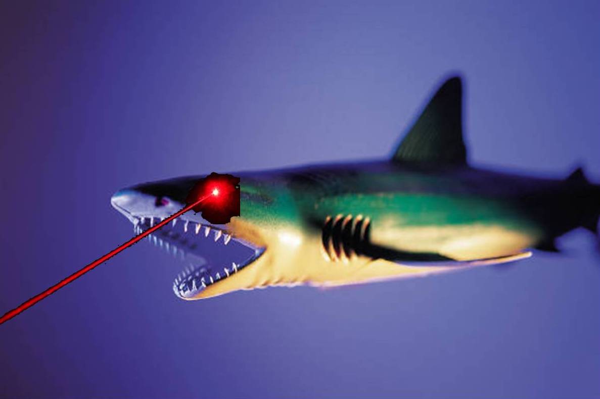 shark-with-laser.jpg